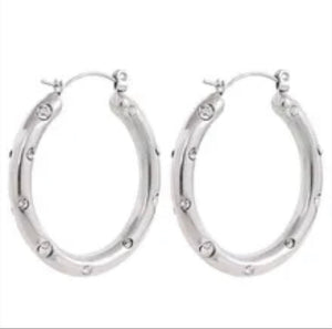 Carmen Silver Earring 💧
